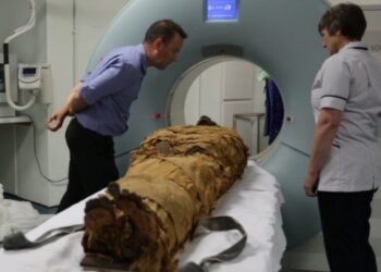 Monarchy Pays Tribute To Republican Head Of State