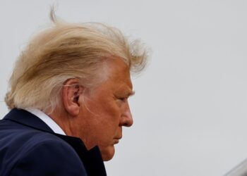 Trump Is The Project