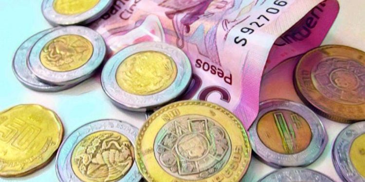 Peso opens the week with 'cold' and falls against the dollar