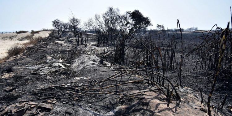 Italy Sends Reinforcements