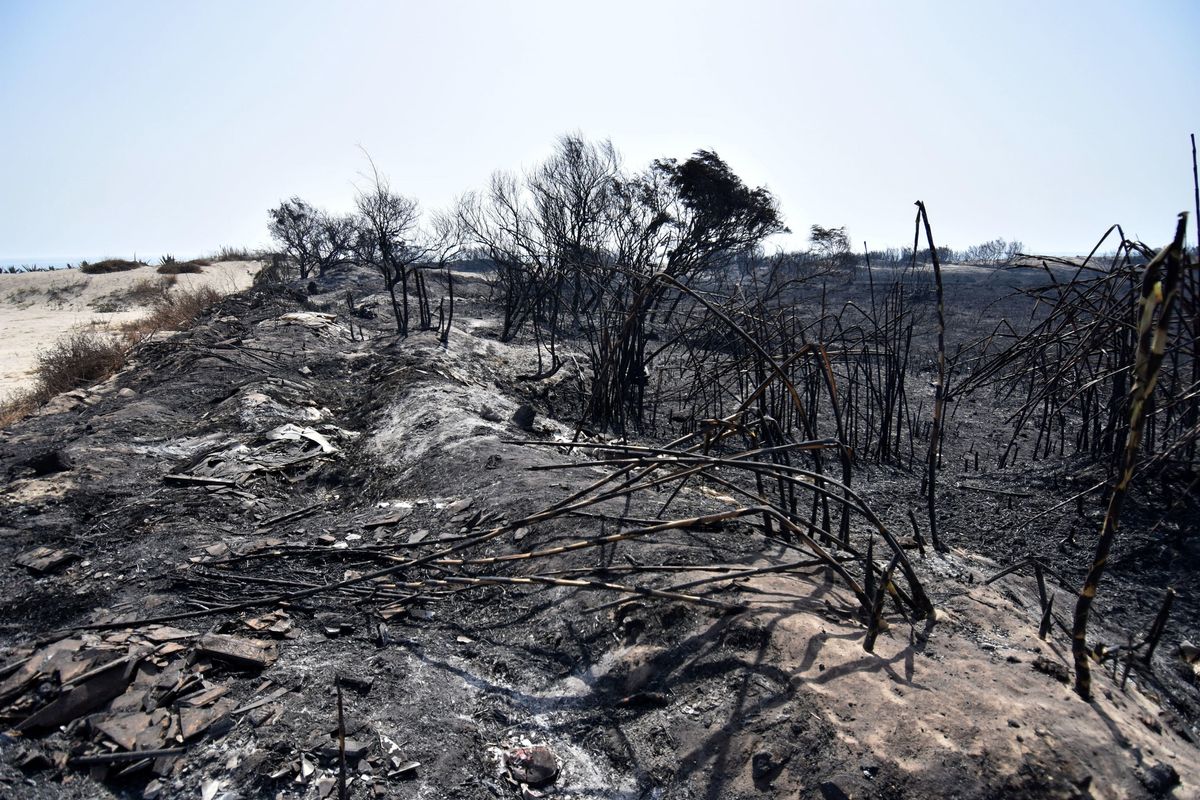 Italy Sends Reinforcements To Sicily, Which Suffers More Than 160 Fires