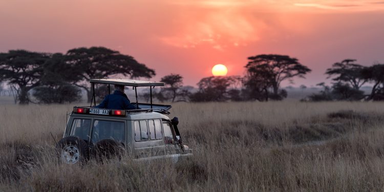 Why You Should Opt for The Best Safari in Tanzania?