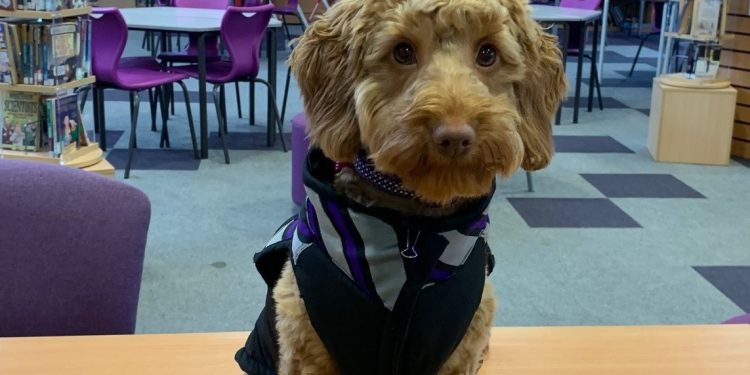 ‘READING DOG’ Set to Inspire Pupils at Nuneaton Academy