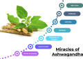 7 Miracles of Ashwagandha