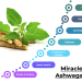 7 Miracles of Ashwagandha