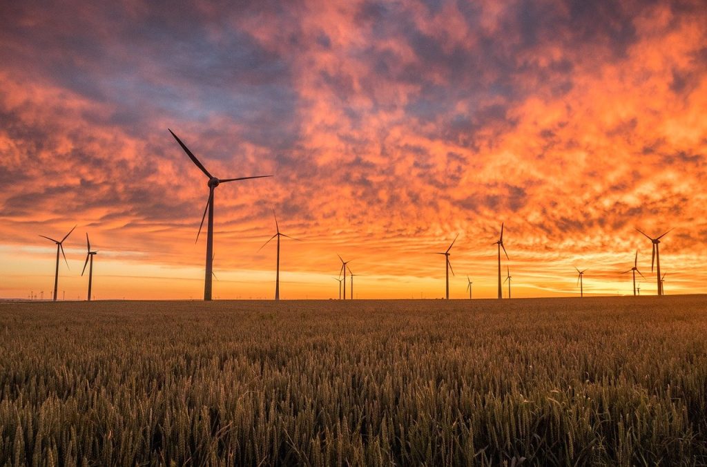 A Greener Future – Distribution Efficiency in the United States