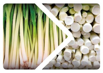 Neural networks: the artificial additive that is missing in vegetable processing