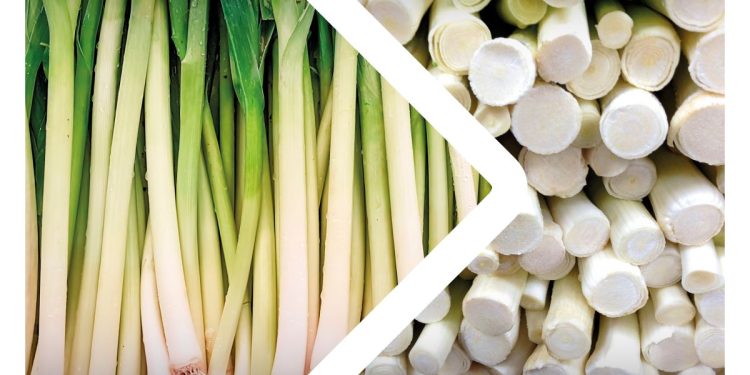 Neural networks: the artificial additive that is missing in vegetable processing