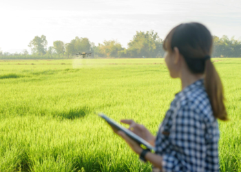 Remote Security for Modern Farming