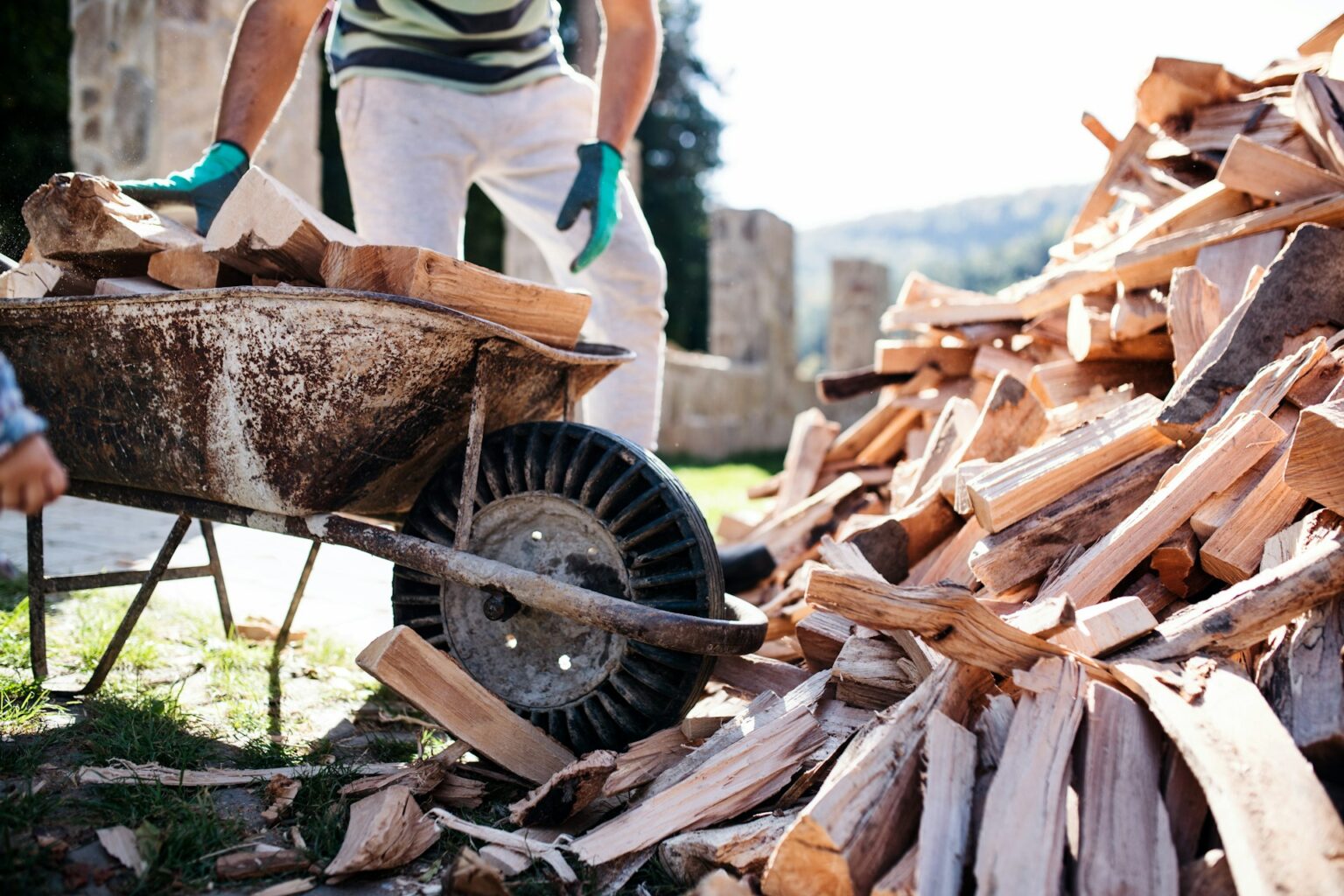 Hardwood vs Softwood Firewood: What’s the Difference? Hardwood vs Softwood Firewood: What’s the Difference?