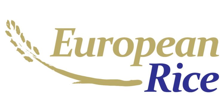 Savour European Tradition – Aztem Pilaf with Lamb and Angel Hair Pasta