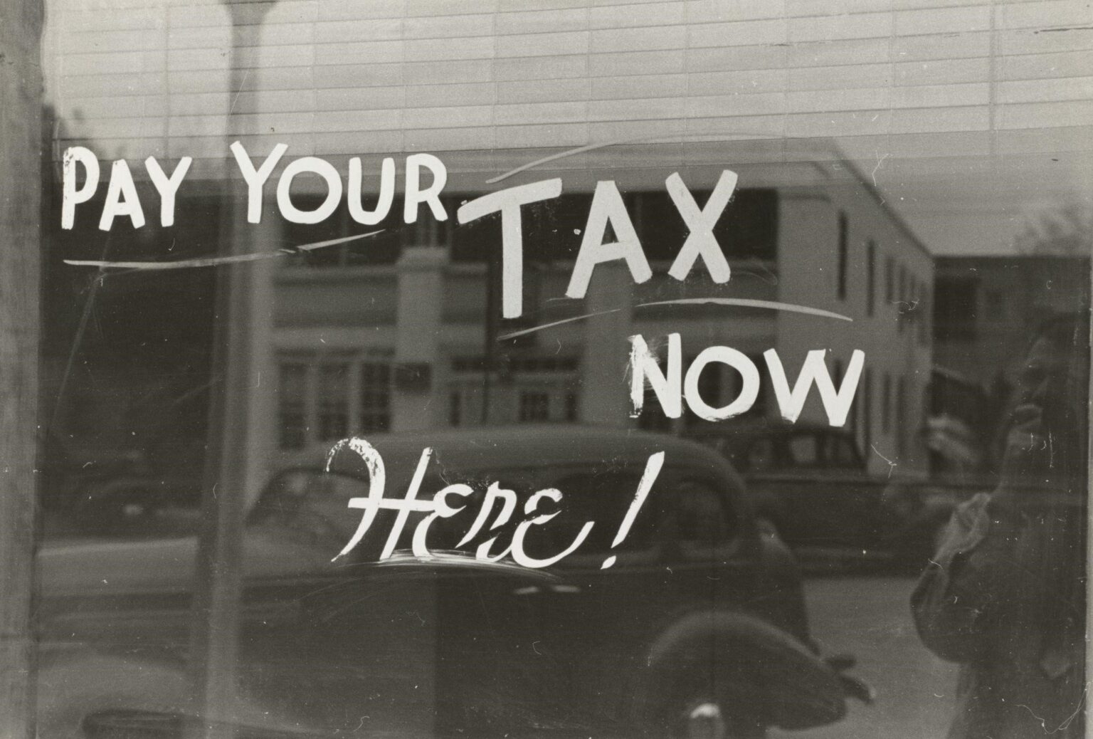 Tailored Tax Advisory Solutions for Small Businesses in New Zealand