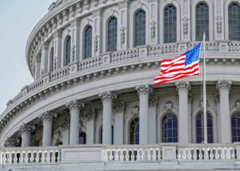 How Margarita Howard Guides HX5 in Building Strong Government Partnerships