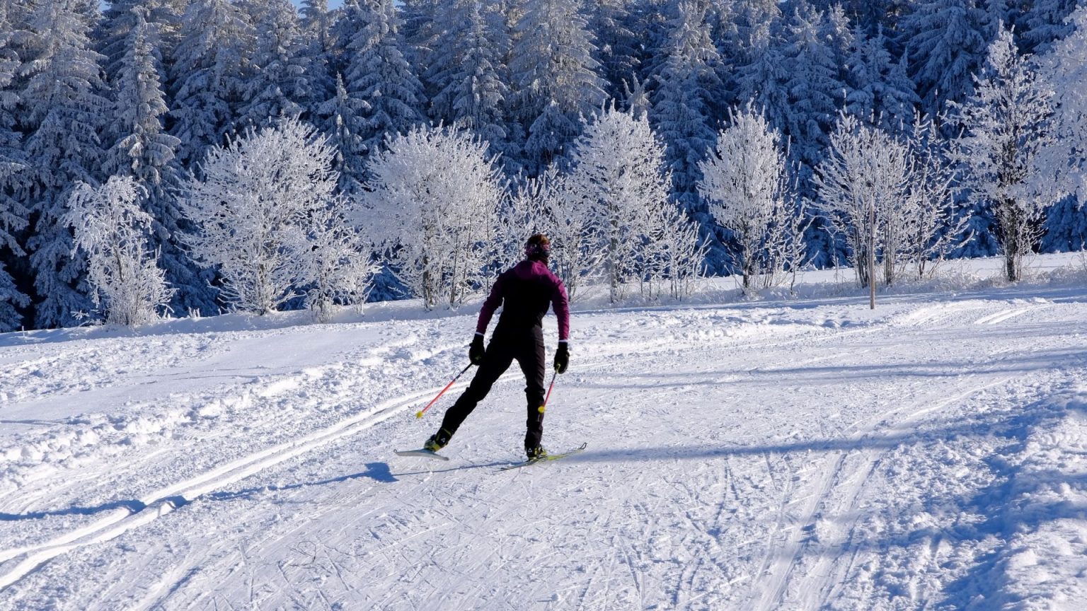 David Orazietti on the Historic Roots of Skiing Cross-country skier gliding along a groomed trail through a snow-covered forest